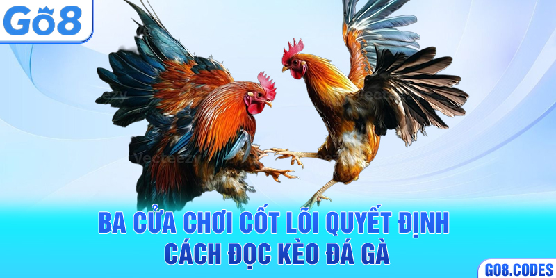 Ba cửa chơi cốt lõi quyết định cách đọc kèo đá gà