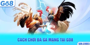 Cách chơi đá gà mạng tại Go8
