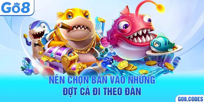 Nên chọn bắn vào những đợt cá đi theo đàn