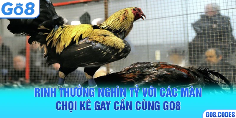 Rinh thưởng nghìn tỷ với các màn chọi kê gay cấn cùng Go8