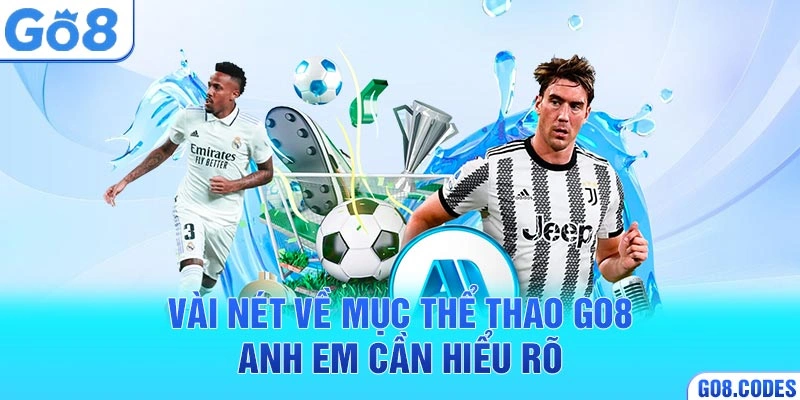 Vài nét về mục thể thao Go8 anh em cần hiểu rõ