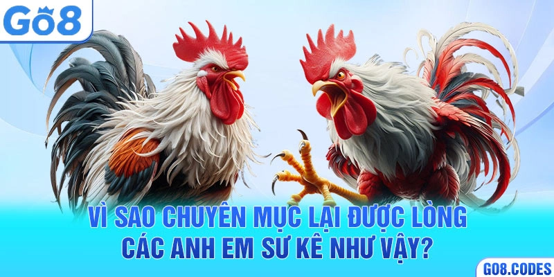 Vì sao chuyên mục lại được lòng các anh em sư kê như vậy?